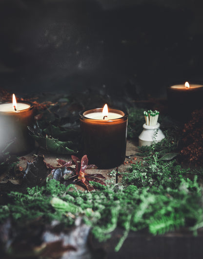 Scents of the Season Bundle