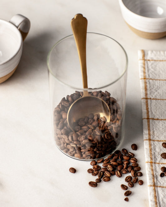 Coffee Scoop
