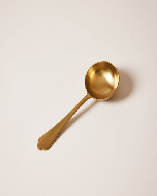 Coffee Scoop