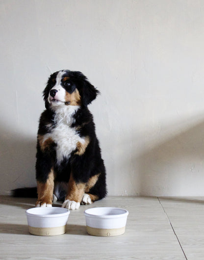 Farm Dog Bowl