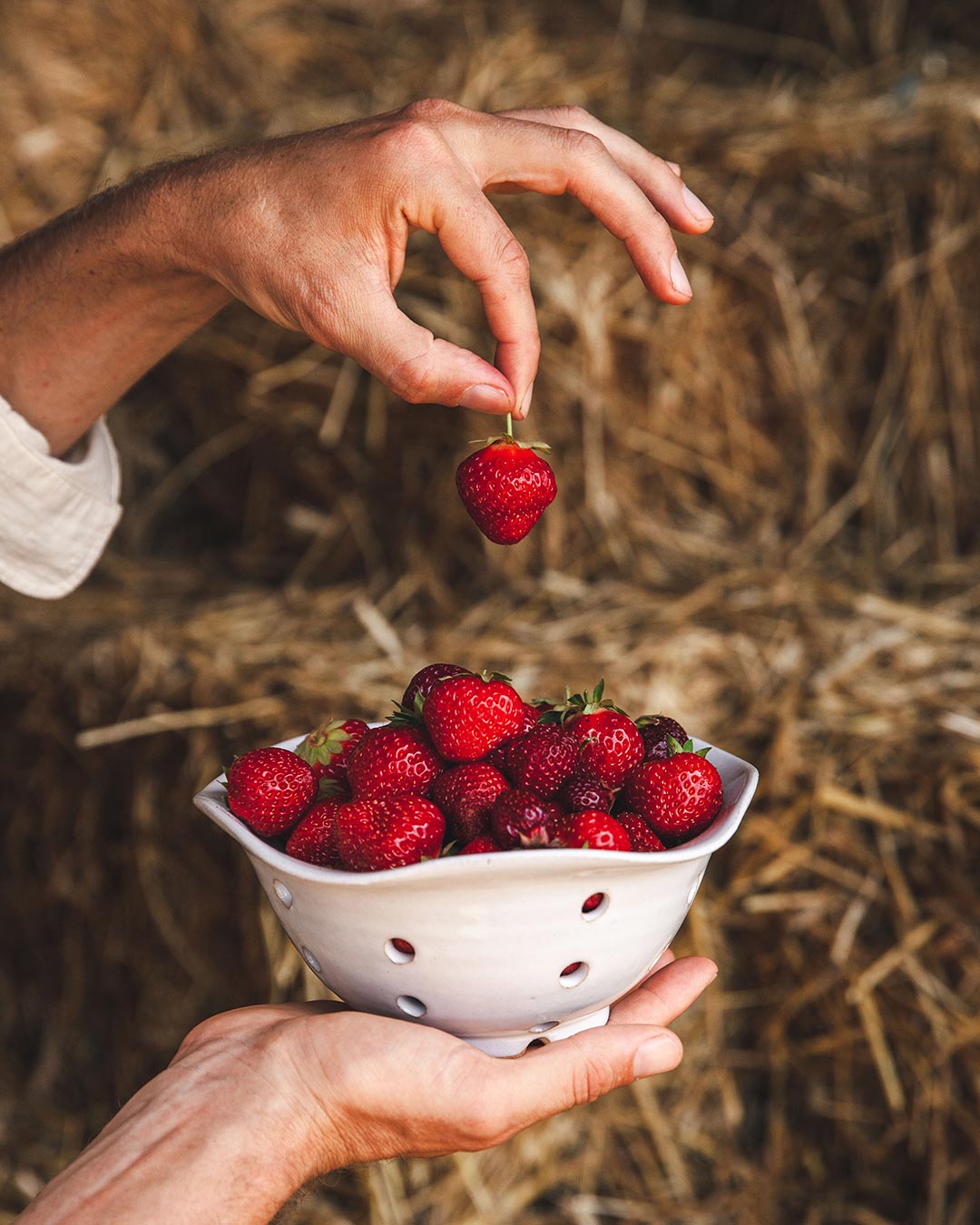 Windrow Berry Bowl