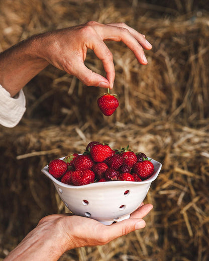 Windrow Berry Bowl